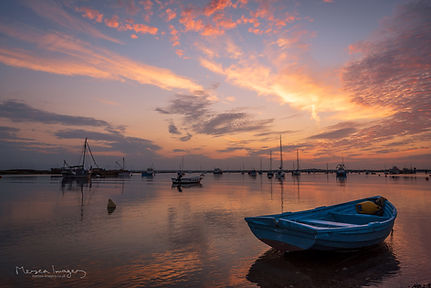 Shingle Sunset