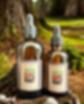 The Mushroom Alchemist Products