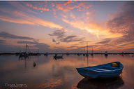 Mersea Imagery