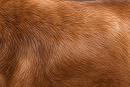 63D7AE96-1C43-4909-8D68-EF55FEAA5C08.PNG