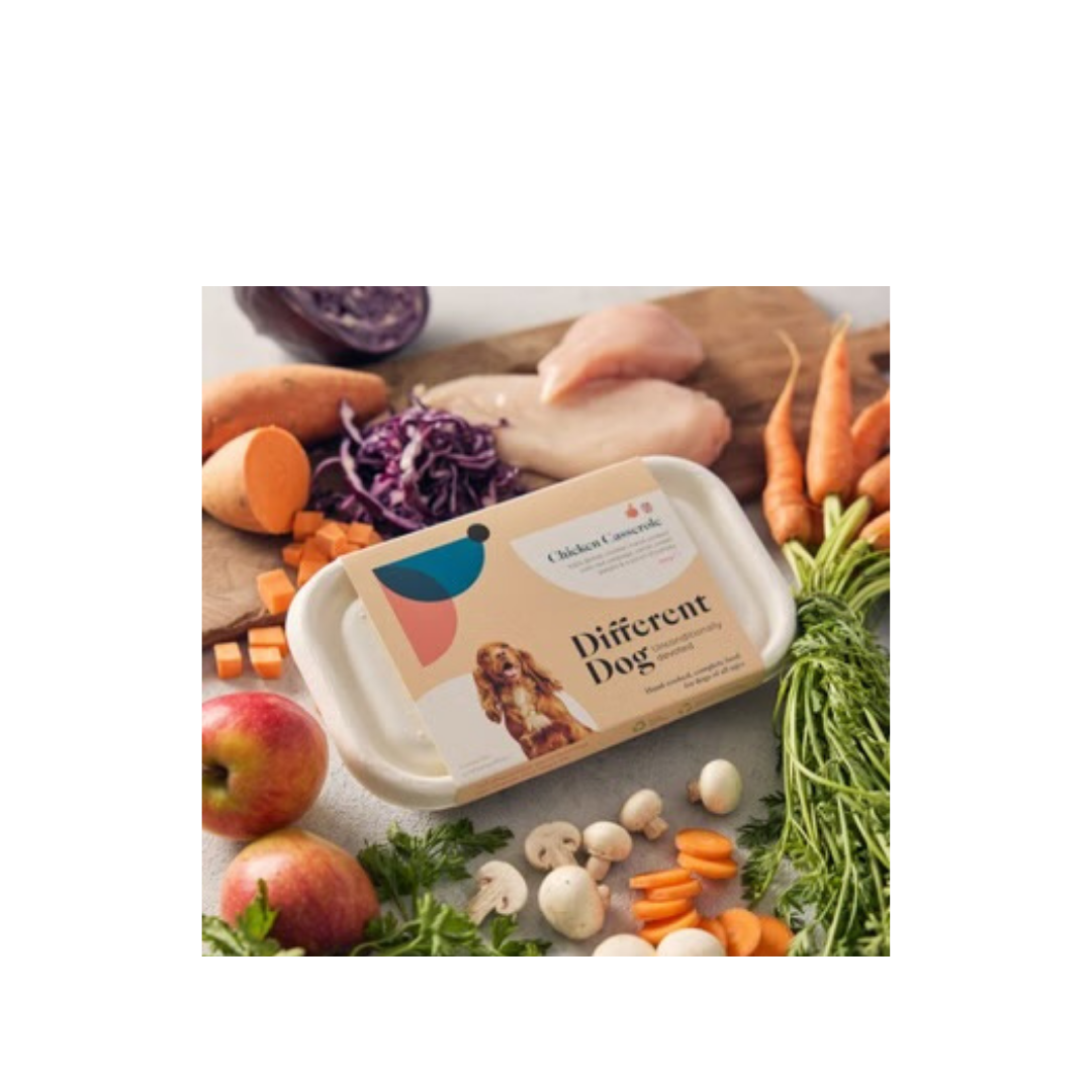 Different Dog Chicken Casserole 600g