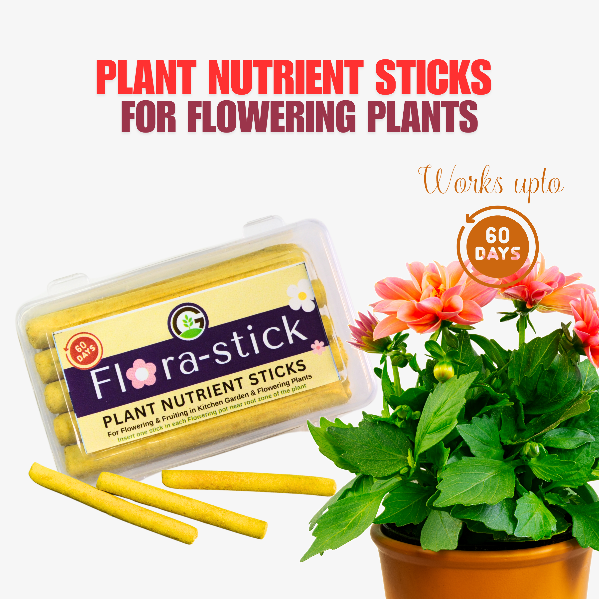 Flora-Stick box ( 10 Nos)