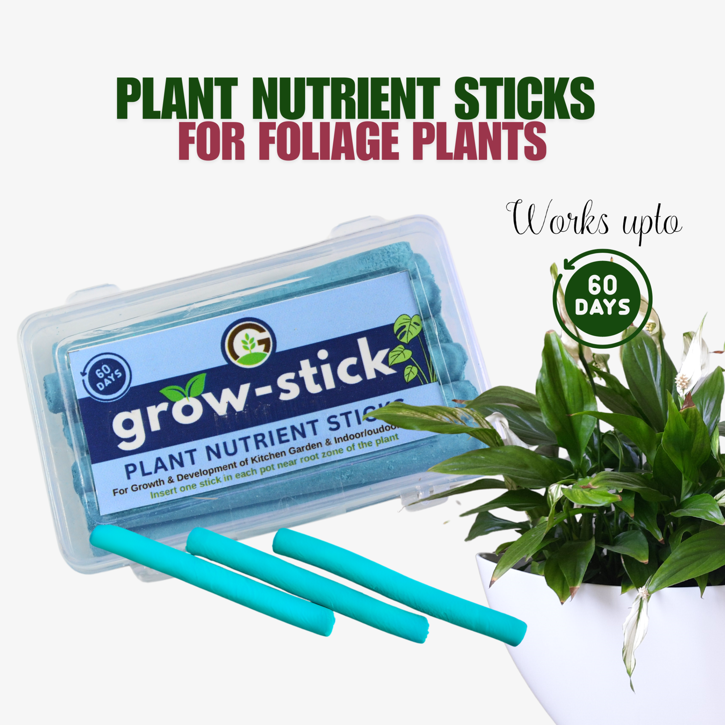 Grow-Stick box (10 sticks )