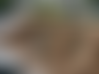 Local Company Offering Underground Wiring and Piping Solutions