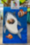 SharkDay.jpg