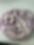 Special Craft - Flower Prints into Clay