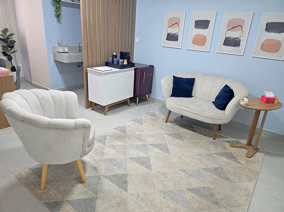 Sala de atendimento de psicologia em ambiente aconchegante em Pouso Alegre - Minas Gerais.