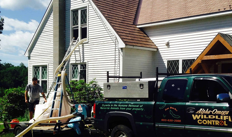 Attic cleanout provider in New Hampshire