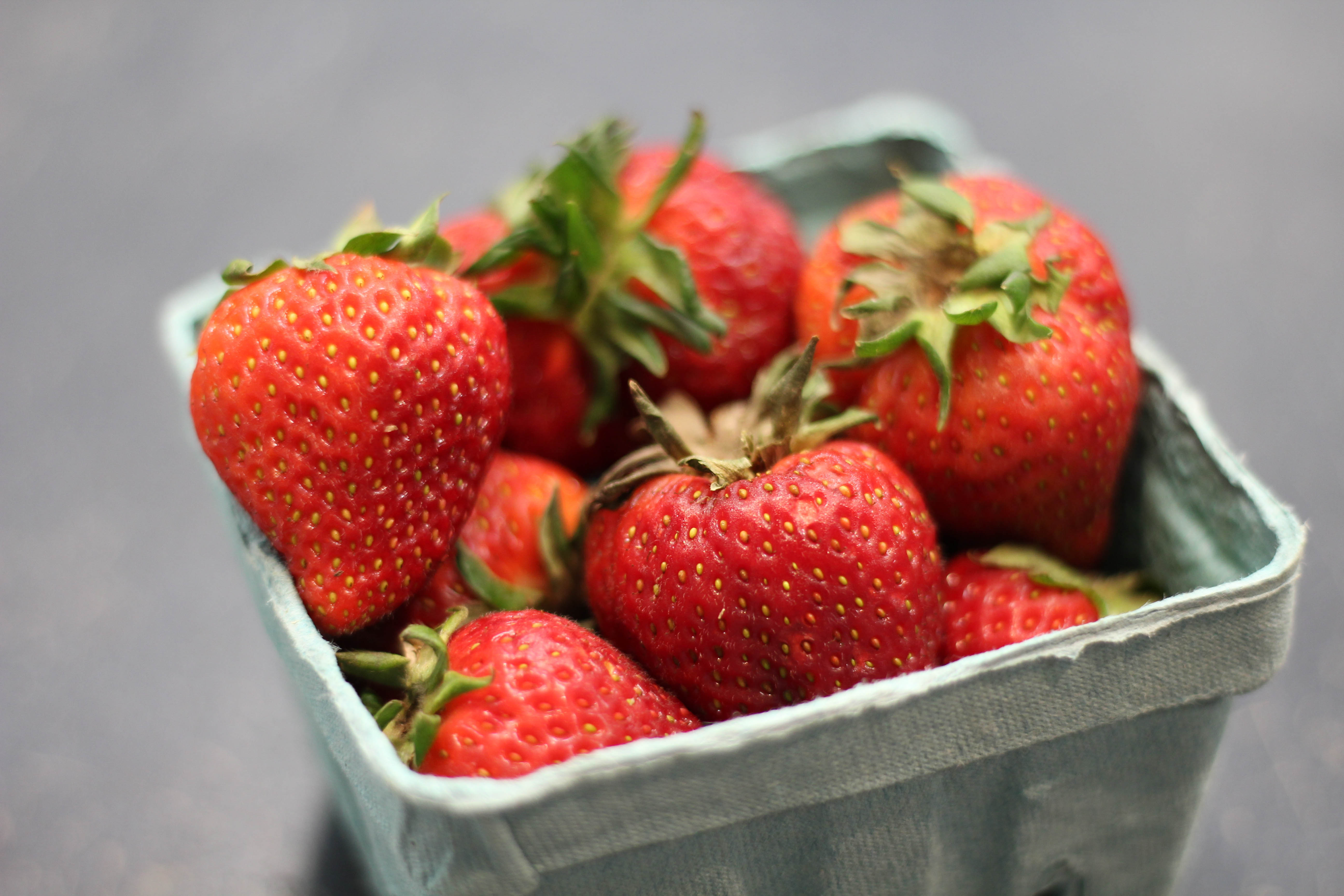 Root Cellar Columbia Missouri