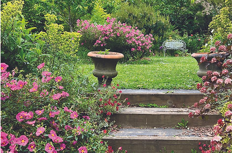 Tour du monde en un jardin -1.jpg