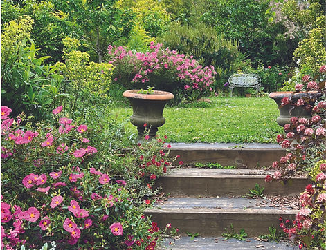 Tour du monde en un jardin -1.jpg
