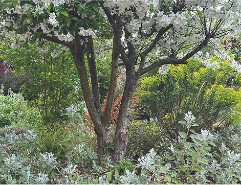 Tour du monde en un jardin -2.jpg