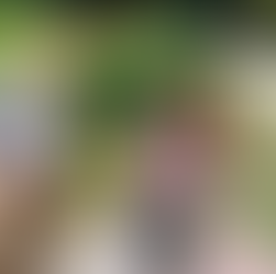 A retired couple on an adventure vacation stopping to smell the flowers