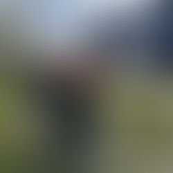 From Pirates to Pumpkins to Elf Hats: Why Seasonal Fun Runs Keep Me Moving