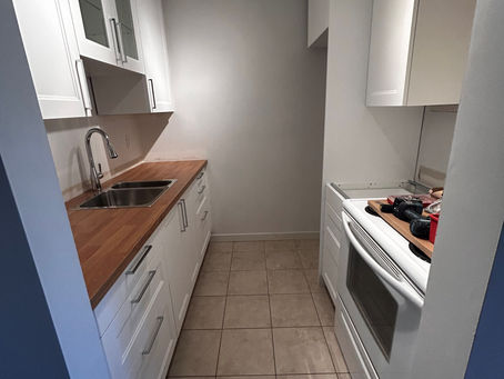 Revitalizing a Condo Kitchen