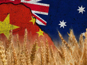 ABC RURAL | Australian barley tariffs to be scrapped by China after long-running trade dispute