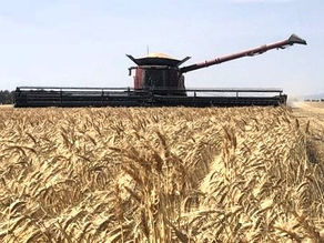 FARMING AHEAD | Farms groups unite against biosecurity "tax"