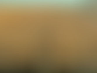 TARIFF REDUCTIONS WELCOME – BUT CERTAINTY KEY TO INDIA TRADE DEAL