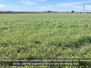 Season off to a promising start for Australian grain producers