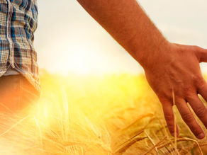 FARM SAFETY PROGRESS INCLUDES MENTAL HEALTH CARE