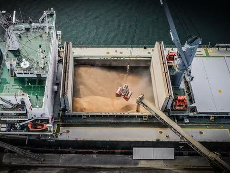 NIKKEI ASIA | Australia's record wheat harvest is no fix for the global food crisis