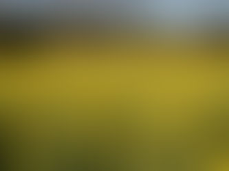 GROWERS ON ALERT OVER EU MARKET’S CREEPING AGENDA