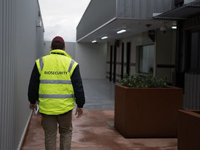 SHEEP CENTRAL | Sheep and wool bodies among 50 groups fighting biosecurity tax