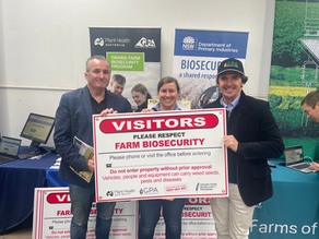 GPA: INSTA-IMAGES CAN CAUSE LONG LASTING HARM