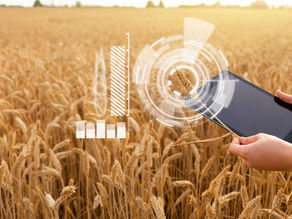 NEW BIOSECURITY HUB FOR GRAINS INDUSTRY