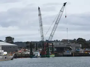 FARM ONLINE | Ag groups united to pen letter opposing biosecurity levy