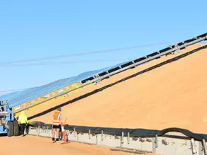 FARM ONLINE | GPA flags GRDC levy change to fund biosecurity