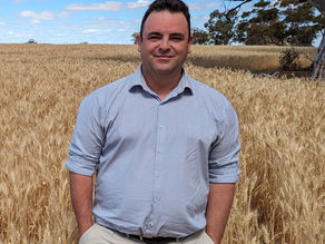 SA COUNTRY HOUR | SA growers support ZP50 mouse bait access option