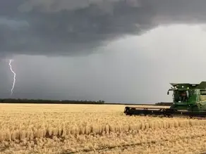 FARM ONLINE | Ag lobby primes Senate as last stand to stop biosecurity protection levy