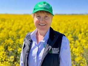 STOCK JOURNAL | Murraylands farmer Sharon Starick selected to lead GRDC