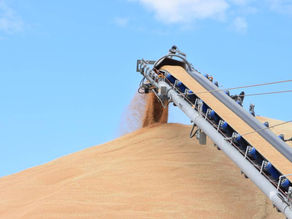 FARM ONLINE | Downgrading issues lead to calls for better stocks info