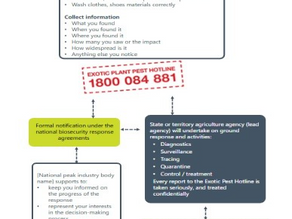 PHA INDUSTRY RESOURCE TOOLKIT SERIES: WHAT HAPPENS WHEN YOU REPORT SOMETHING UNUSUAL?