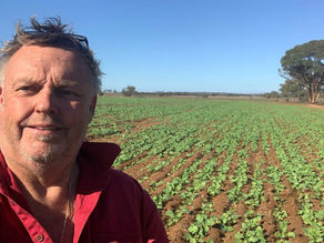 QUEENSLAND COUNTRY LIFE | Insurance hikes hit contract harvesters