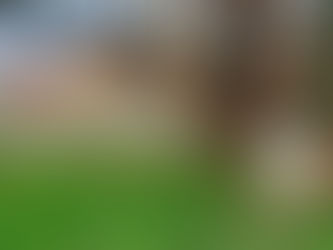 DAILY CARGO NEWS | TasPorts celebrates the buzziest members of its team