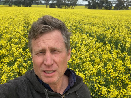 Season shapes up as a mixed bag for Australian grain producers