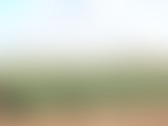 FARM ONLINE | GPA modernises end point royalty policy