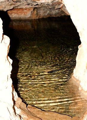 009.003.CAG__edited.jpg
