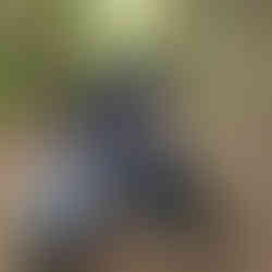 Mrdutt Family and Dog