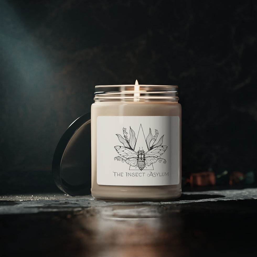 Thumbnail: Scented Soy Candle, 9oz