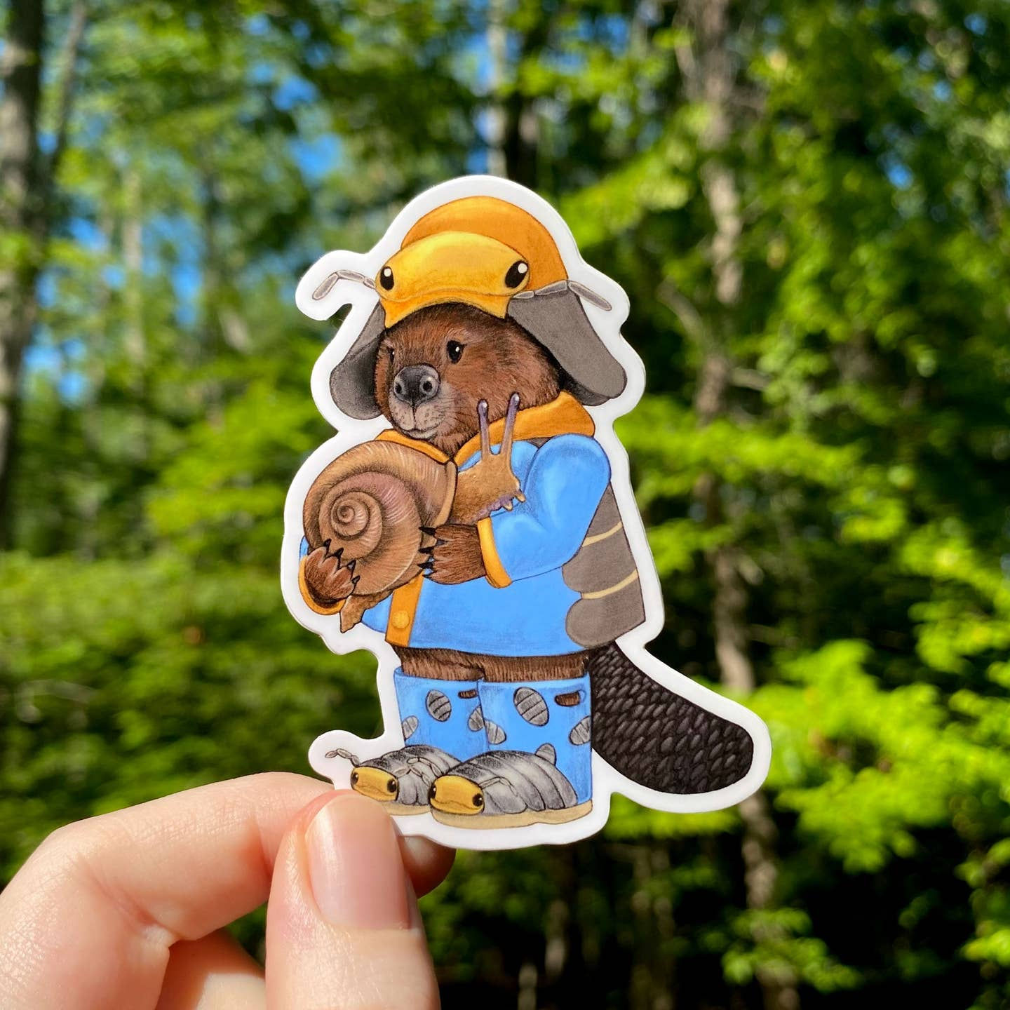 Raincoat Beaver Weatherproof Vinyl Sticker