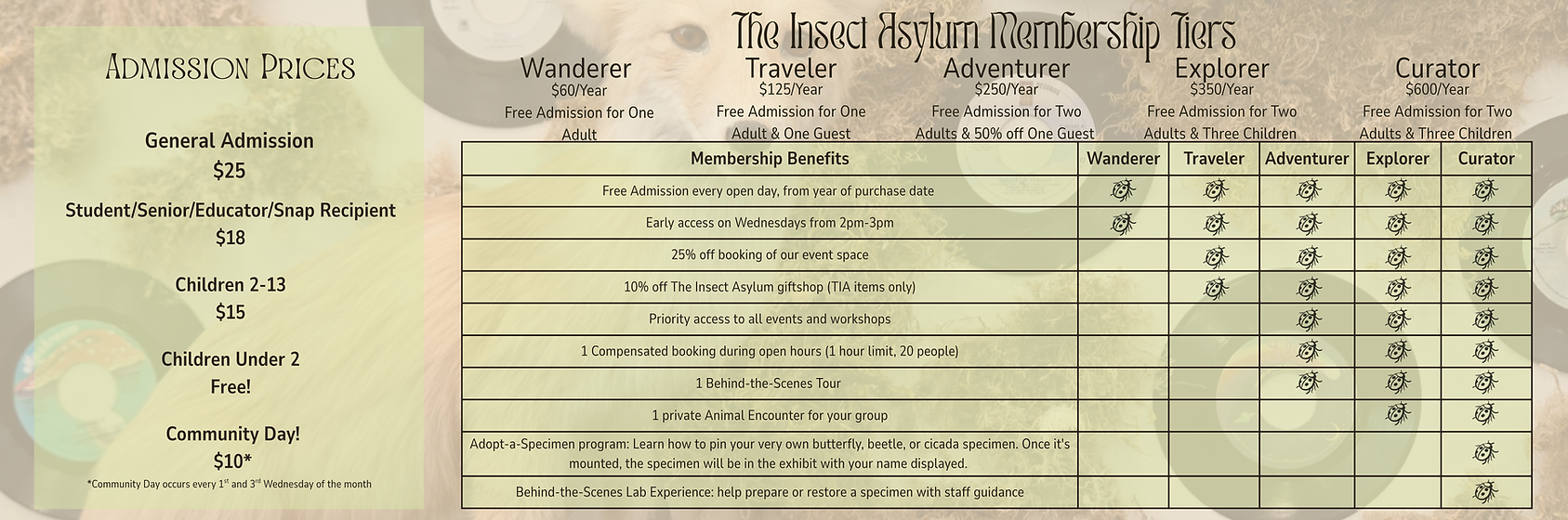 Copy of Admission Prices.png