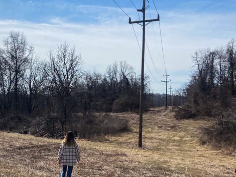 Cycle Syncing Phase 1: Menstrual Phase