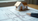 Leading Residential Architects in Chicago: Chicago Home Design Experts