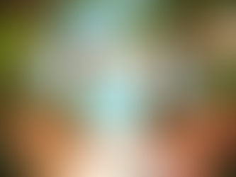 Captivating Wedding Moments: Tropical Indian Theme Showcase