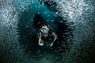 Dive Package Deals Grand Cayman