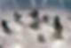 Stingray City circle.jpeg